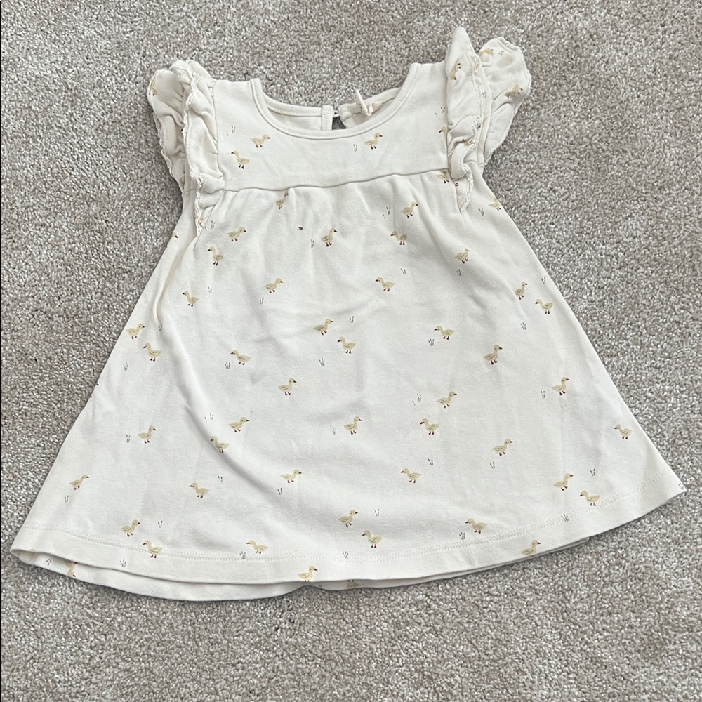 Quincy Mae Cream Dress with Ruffled Sleeves and bloomers